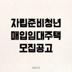 자립준비청년, 2024 하반기 청년 매입임대주택 모집공고