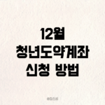12월 청년도약계좌 신청 방법