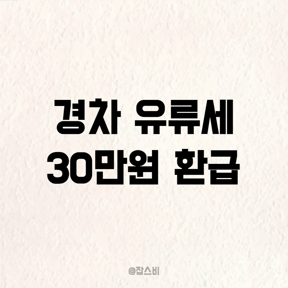 경차 유류세 30만원 환급