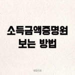 소득금액증명원 소득금액 보는 방법