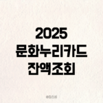 2025 문화누리카드 잔액조회