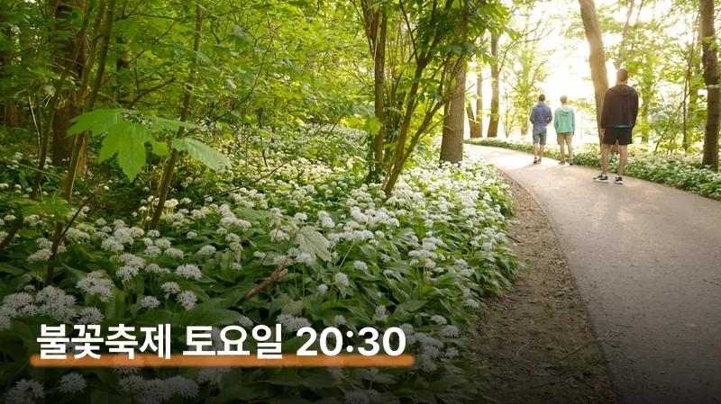 봄꽃 종류별 개화 캘린더: 수선화부터 라일락까지