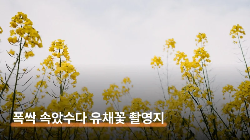 체험길 구성과 포토스팟 위치