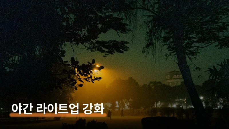 야간 라이트업 — 올해 특히 볼만해요