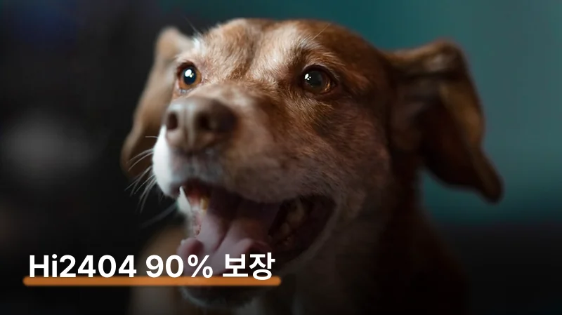 현대해상 강아지 보험 이물 수술 230만원 받은 후기