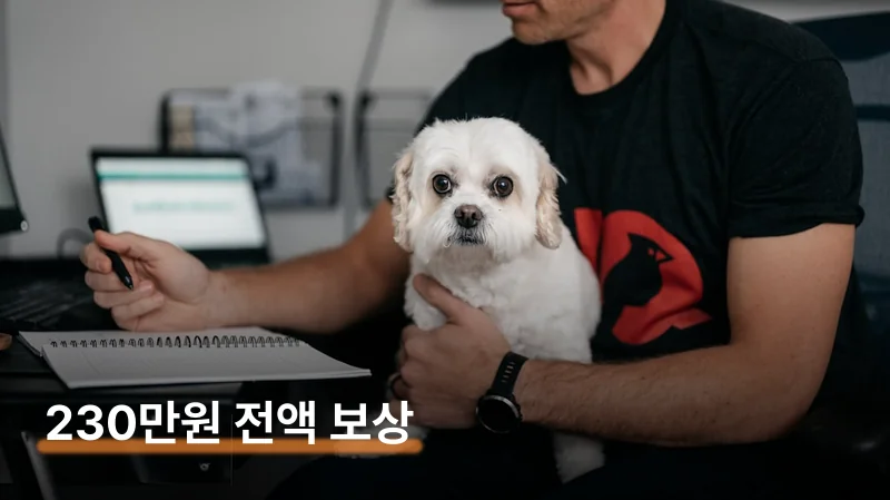 실제 보상 사례 2건 — 병원비 폭탄 방어 기록