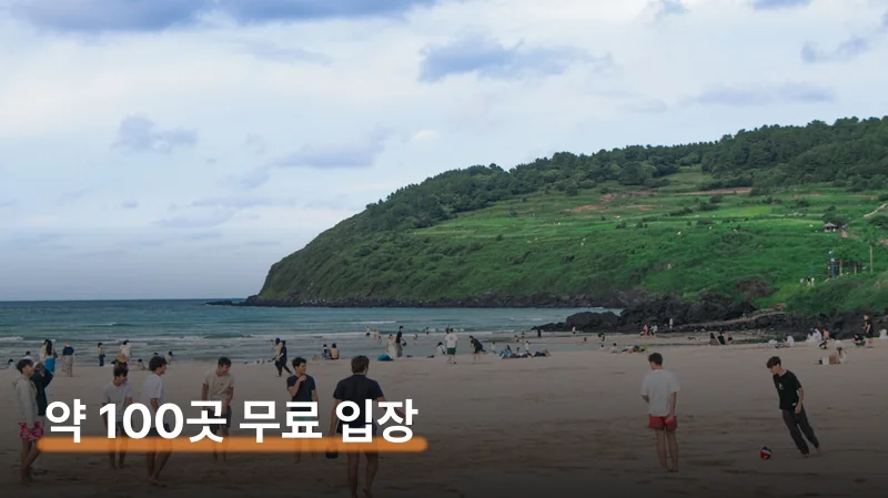 제주투어패스 사용처 약 100곳 무료로 돌아보는 법