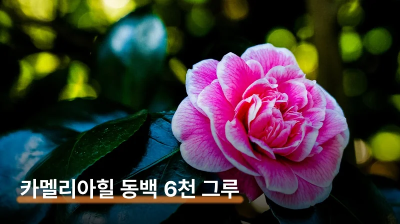 꼭 가야 할 대표 명소 3곳 자세히