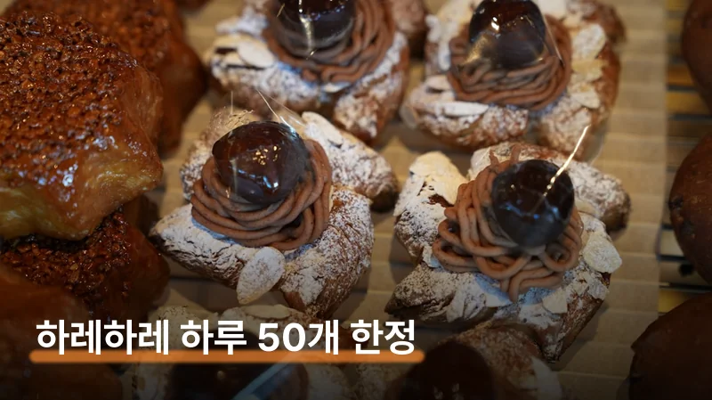 성심당 늑구빵 대신 하레하레 2,800원 사는 법