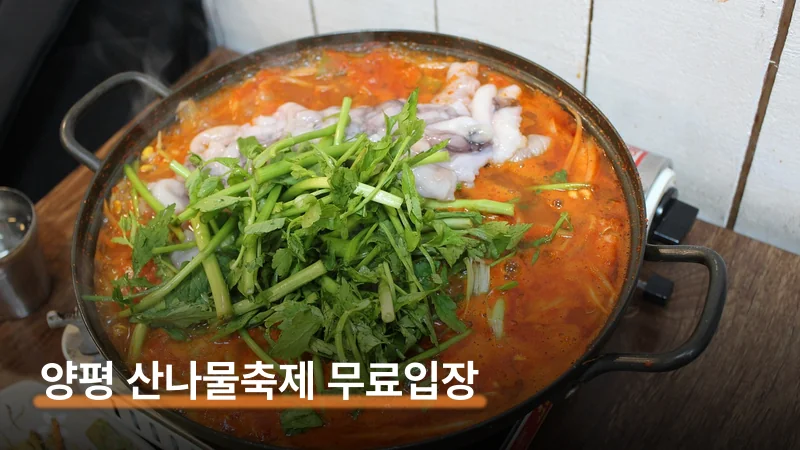 양평 산나물축제 아침 일찍 가야 하는 이유와 필수 코스