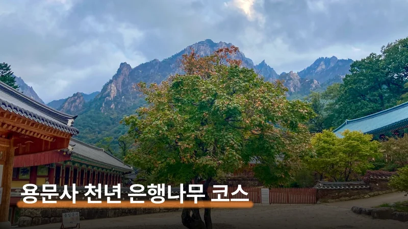 아이랑 가면 이 체험 꼭 챙겨요