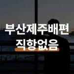 부산 제주 배편 직항 없고 삼천포·완도 대안 시간표