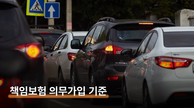 자동차 책임보험 의무가입 안 하면 최대 1천만원 벌금