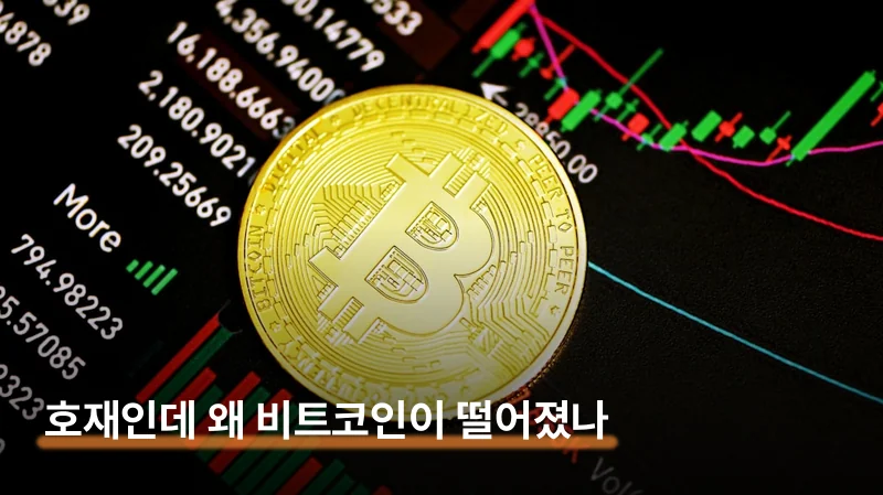 호재인데 왜 비트코인이 떨어졌나요