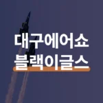 대구 에어쇼 블랙이글스 후기와 다음 관람 꿀팁