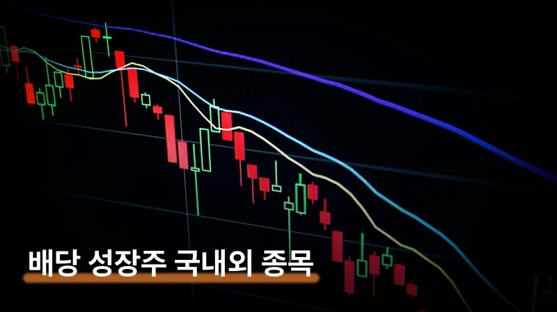배당 성장주 국내외 핵심 종목과 나이대별 투자 전략