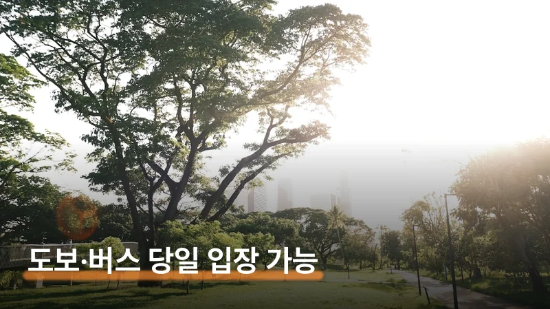 성수기 예약 실패 대비 전략 — 30일 전 자정 알람 필수