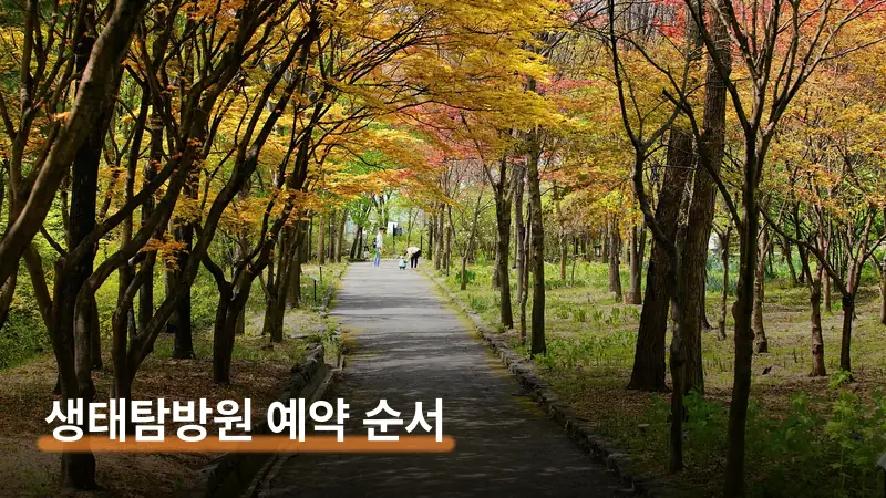 계룡산 생태탐방원 예약 방법 프로그램 먼저 담는 순서