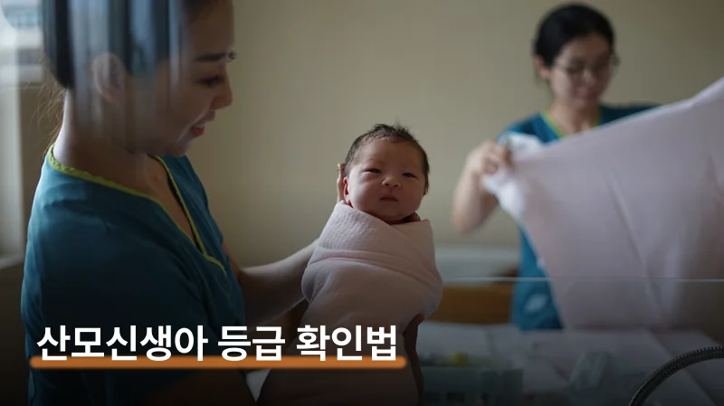 산모신생아 건강관리 등급 확인과 A등급 업체 고르는 법