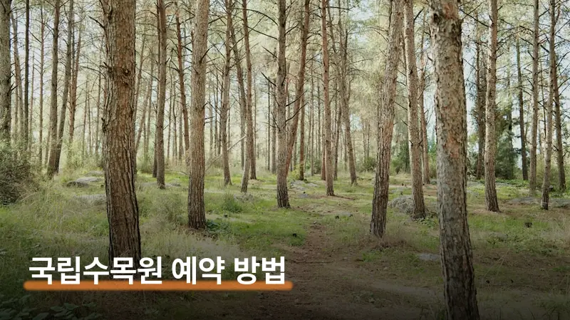 국립수목원 입장 예약 놓치면 현장에서 해결하는 법