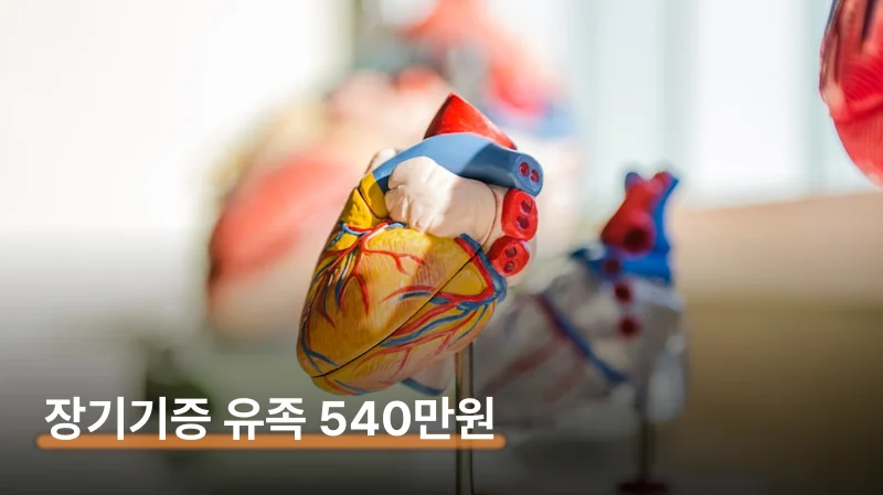 장기기증 혜택 유족 최대 540만원 받는 조건