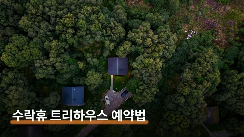 수락휴 트리하우스 예약 14m 광클 성공하는 법