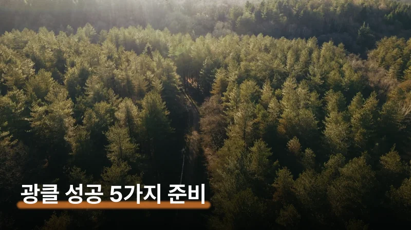 성수기 추첨제 vs 비수기 선착순, 전략이 달라요