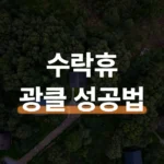 수락휴 트리하우스 예약 14m 광클 성공하는 법