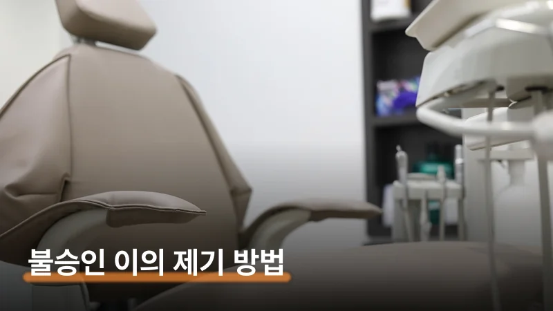 청구 절차와 필요 서류