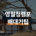 영월 청령포 단종 16세 유배지 배 대기 피하는 방법