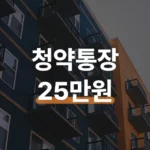 청약통장 납입횟수 조회 인정금액 25만원 확인하는 법